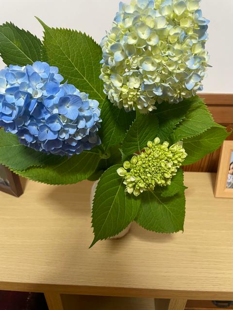 父、急回復⤴_image