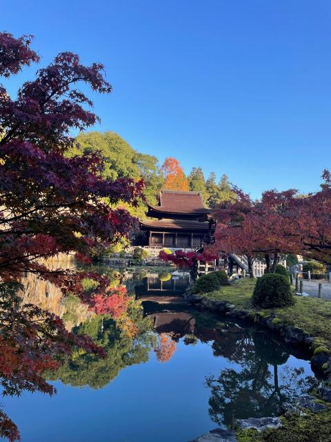 多治見に行ってました_image