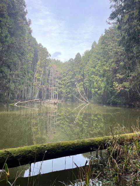 今週のいろいろ_image