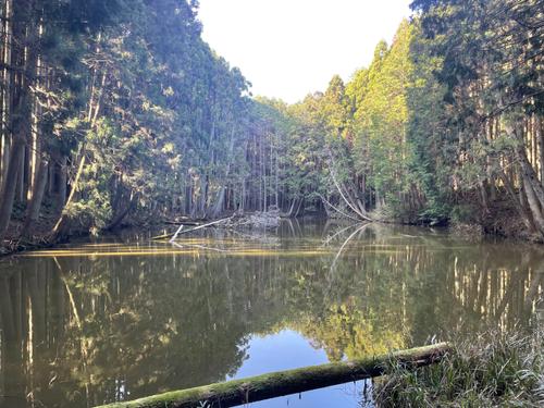 今日で３回目だあのサムネイル画像