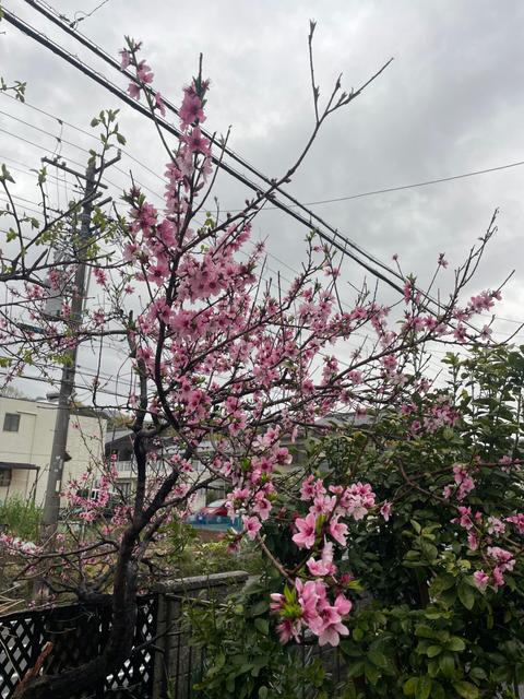 引っ越し完了しました_image