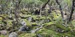 ちょっと山へのはずが、、、のサムネイル画像