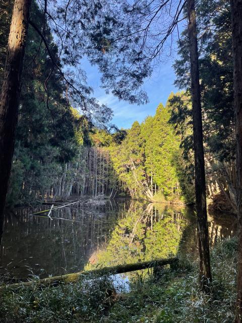 足裏が教えてくれるのサムネイル画像