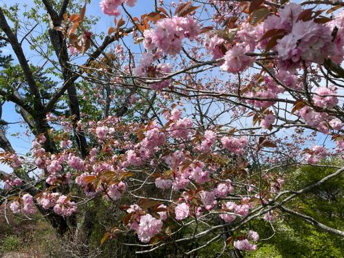 自らの呼吸、どうですか？_image