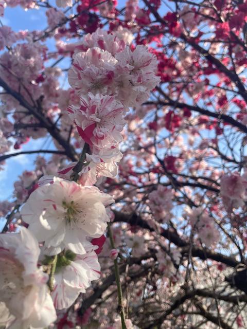 元気もらえた！_image