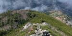 栗沢山再び。のサムネイル画像