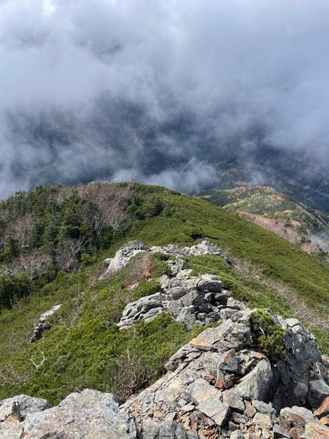 栗沢山再び。_image