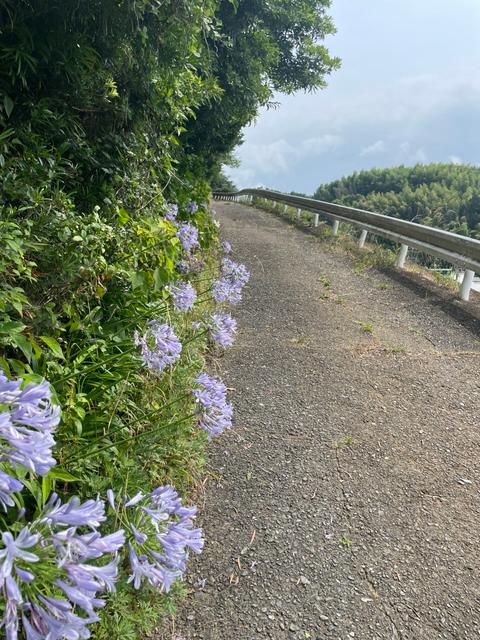 骨盤底は観ていきたいところ_image