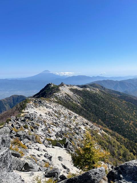 紅葉の南アルプス_image