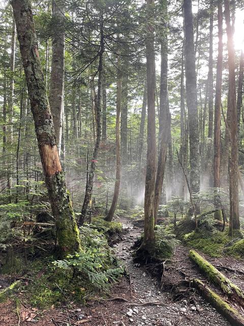 山小屋便り④_image